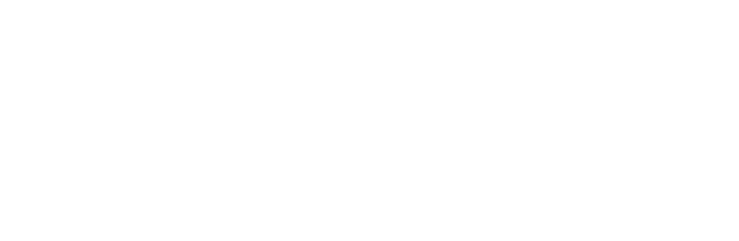 Isynbus